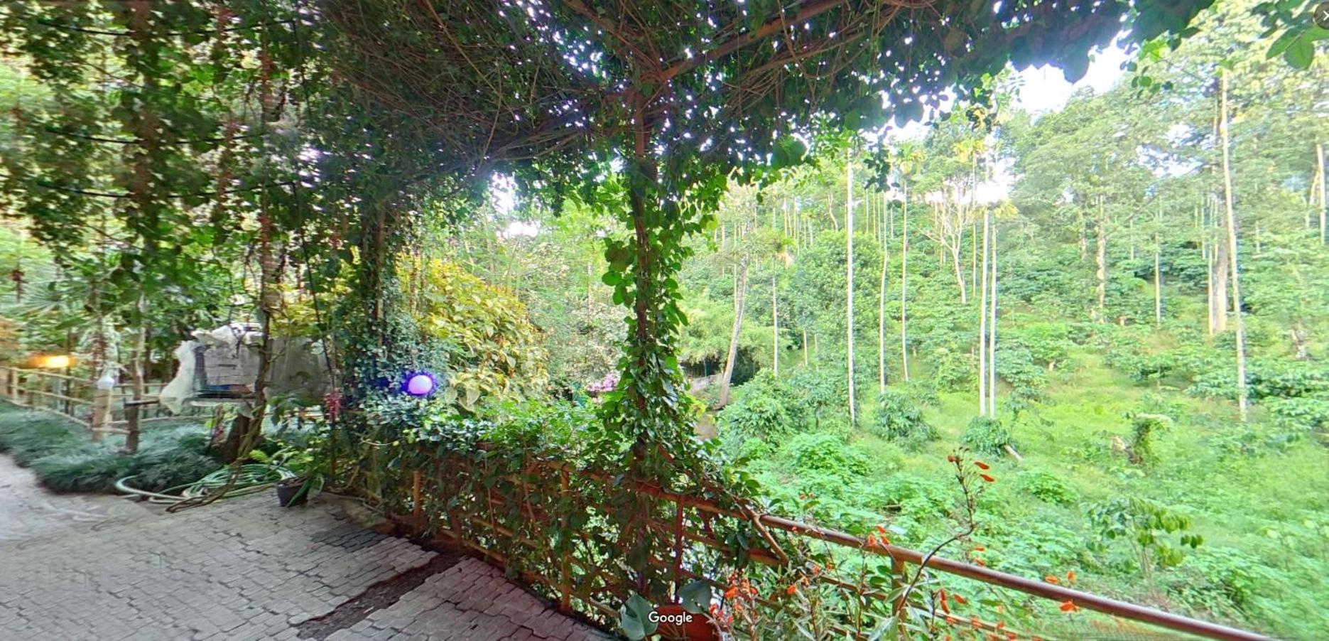 Wayanad Royal Stream Panzió Kalpetta Kültér fotó