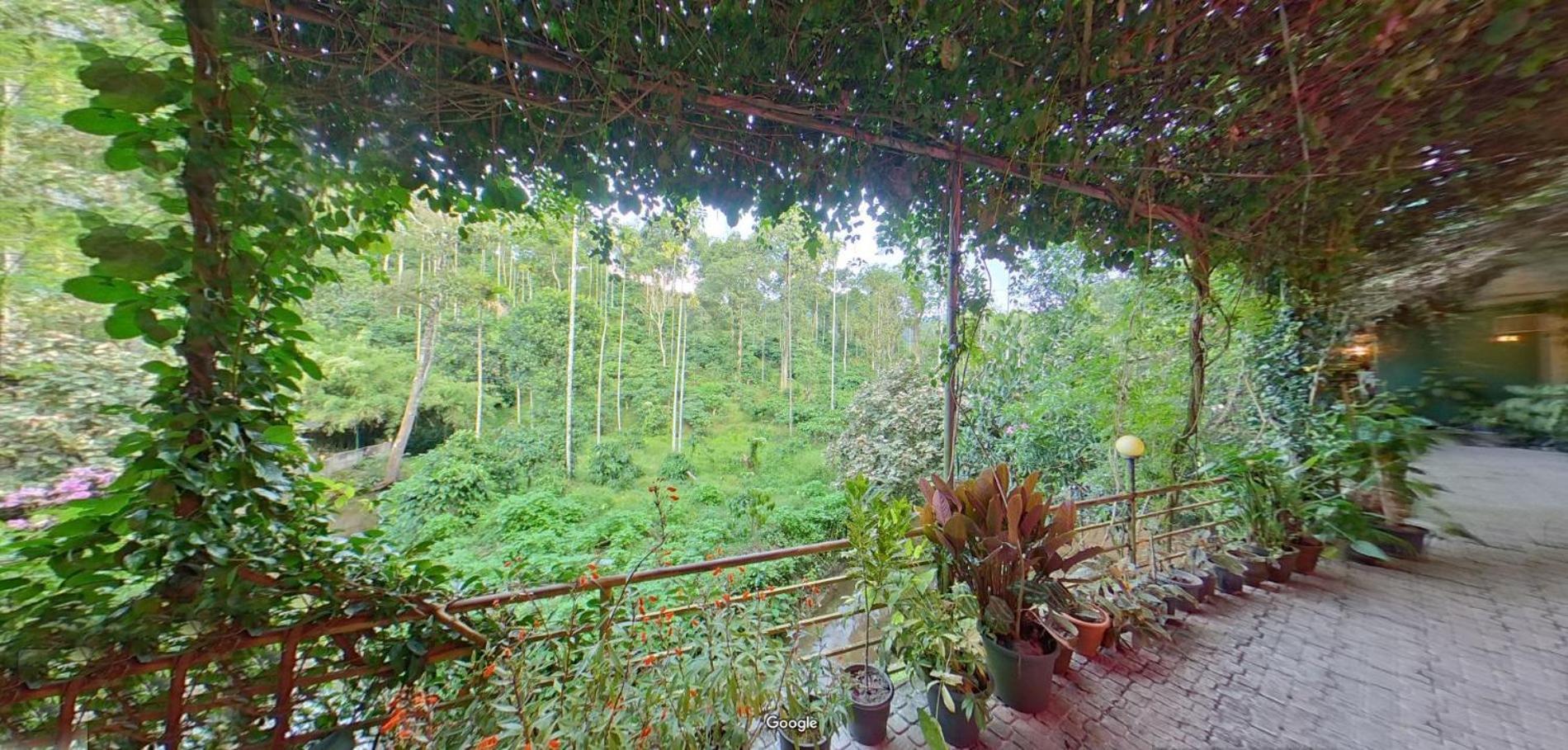 Wayanad Royal Stream Panzió Kalpetta Kültér fotó