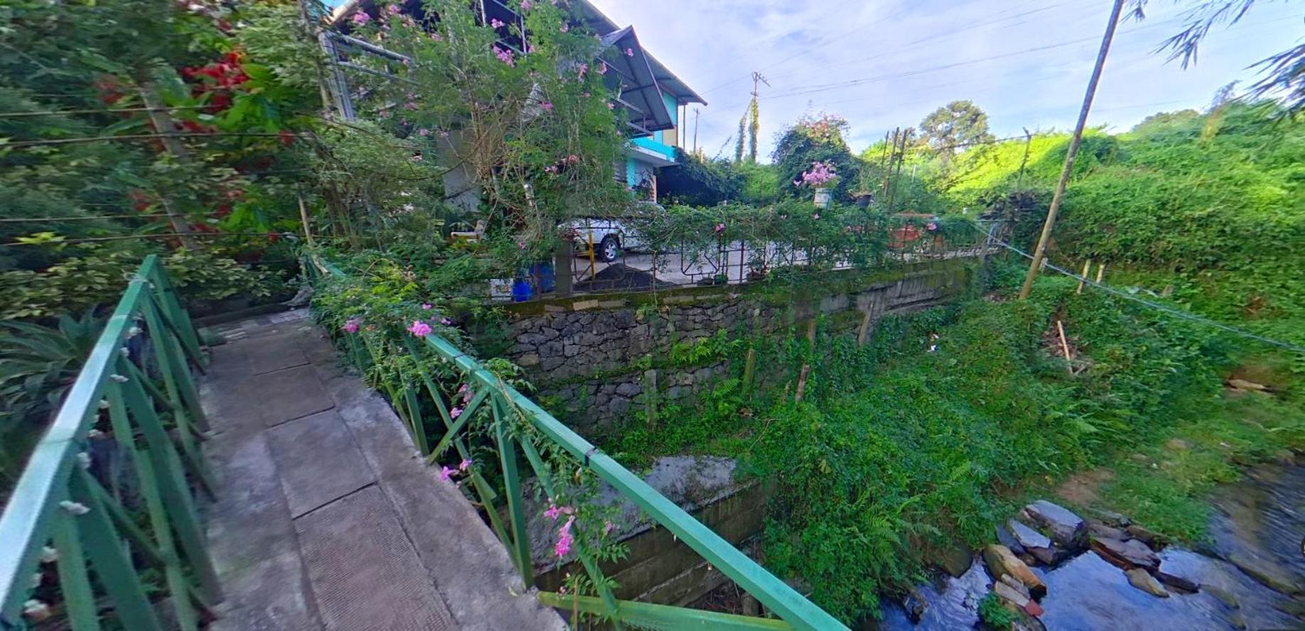 Wayanad Royal Stream Panzió Kalpetta Kültér fotó